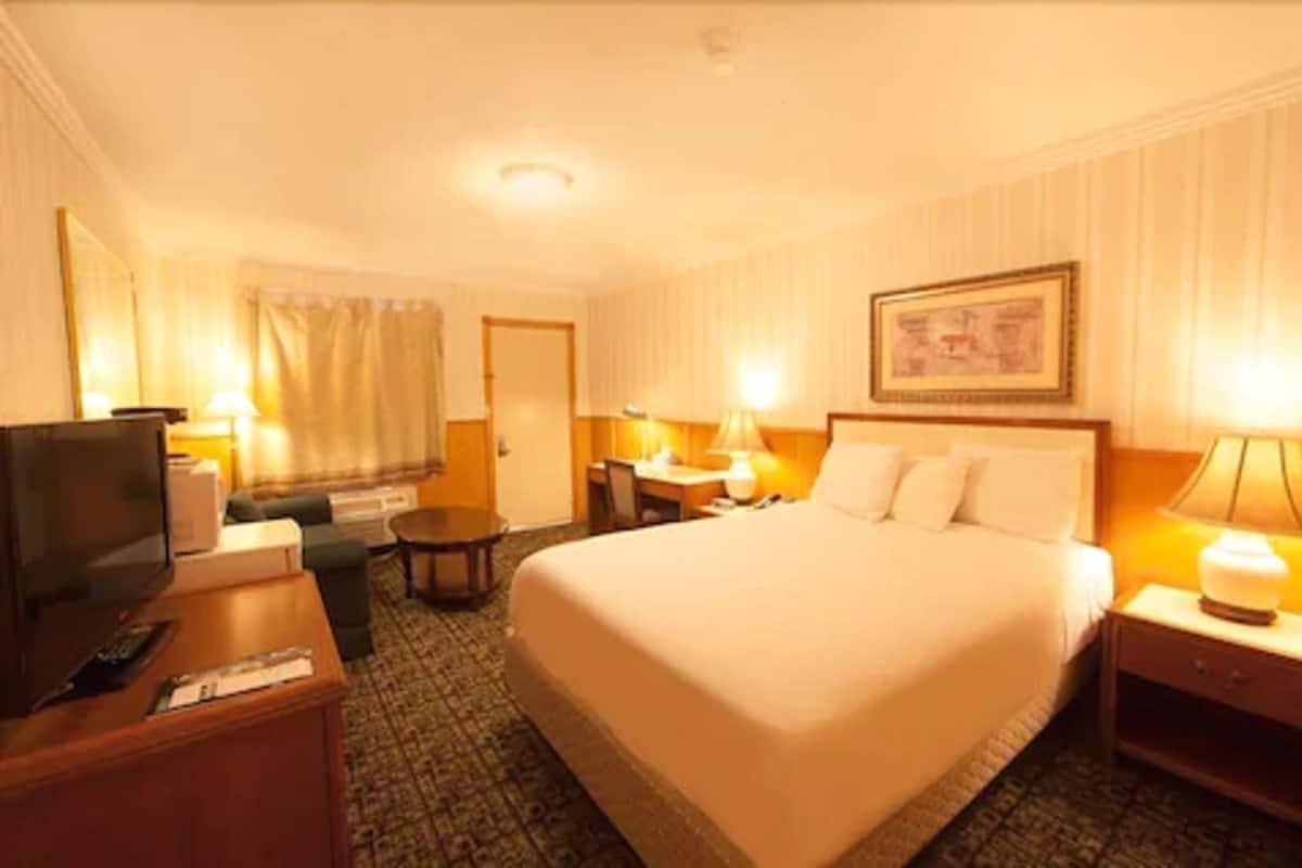 Chambre Standard, 1 grand lit et 1 canapé-lit | Bureau, fer et planche à repasser, accès au Wi-Fi (inclus)
