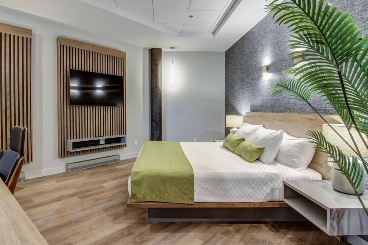 A modern hotel room with a wooden floor, a bed with green and white bedding, a flat-screen TV mounted on a wooden panel, and a large potted plant.