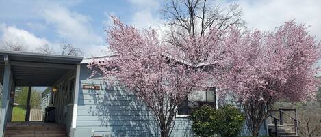 Family House, 2 Bedrooms, Lake View, Mountainside | Premium bedding, individually decorated, individually furnished