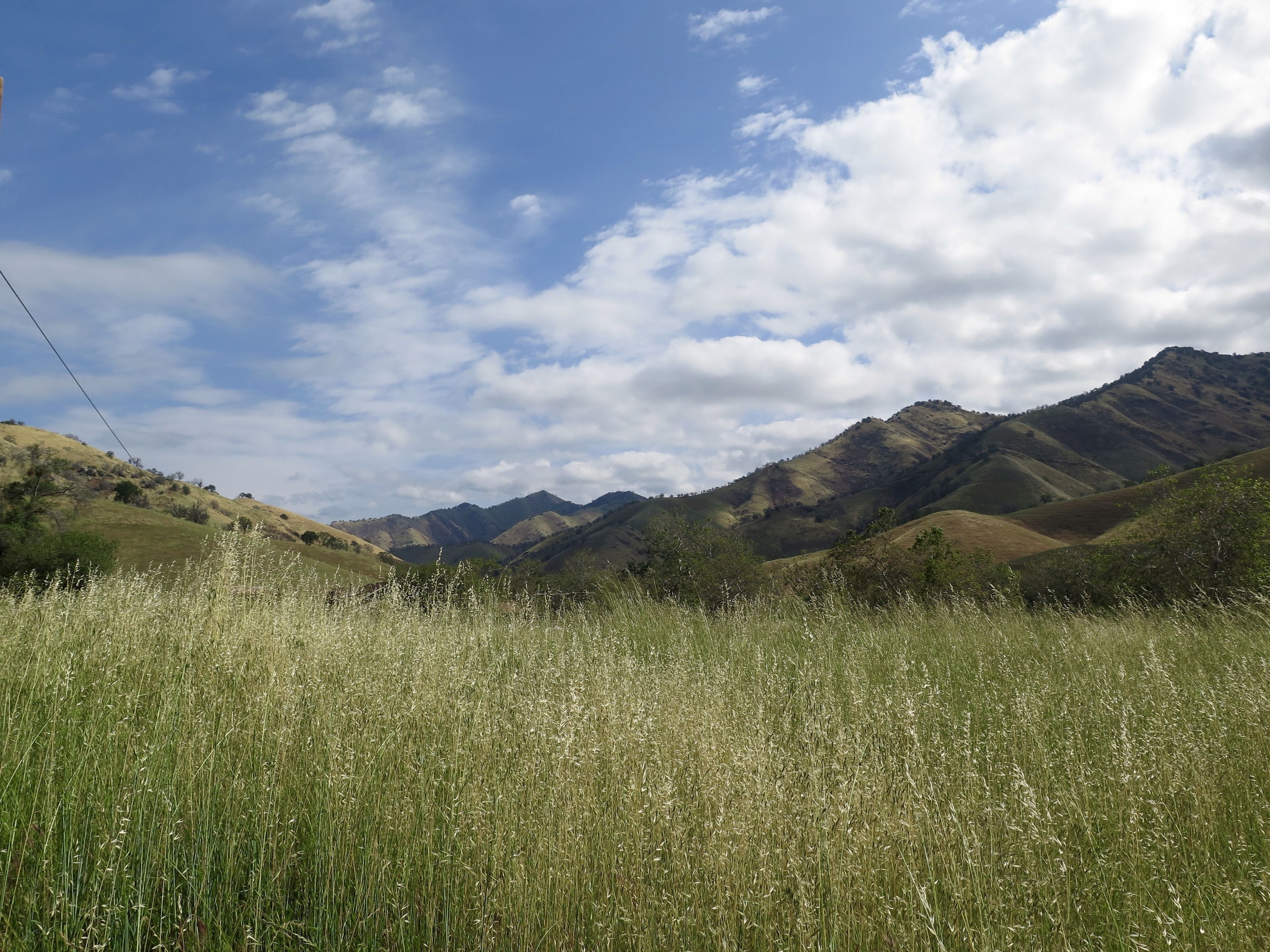 A field with tall grass in front of a mountain range under a partly cloudy sky.