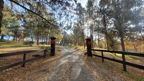 Un sendero que atraviesa un parque con barandas de madera y árboles.