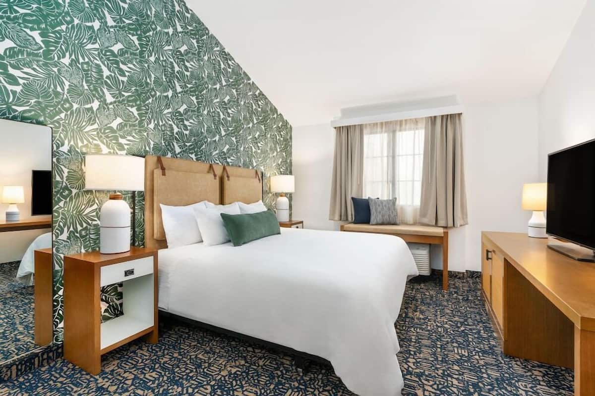 A hotel room with a bed, a TV, a desk, a lamp, a nightstand, and a window with curtains.