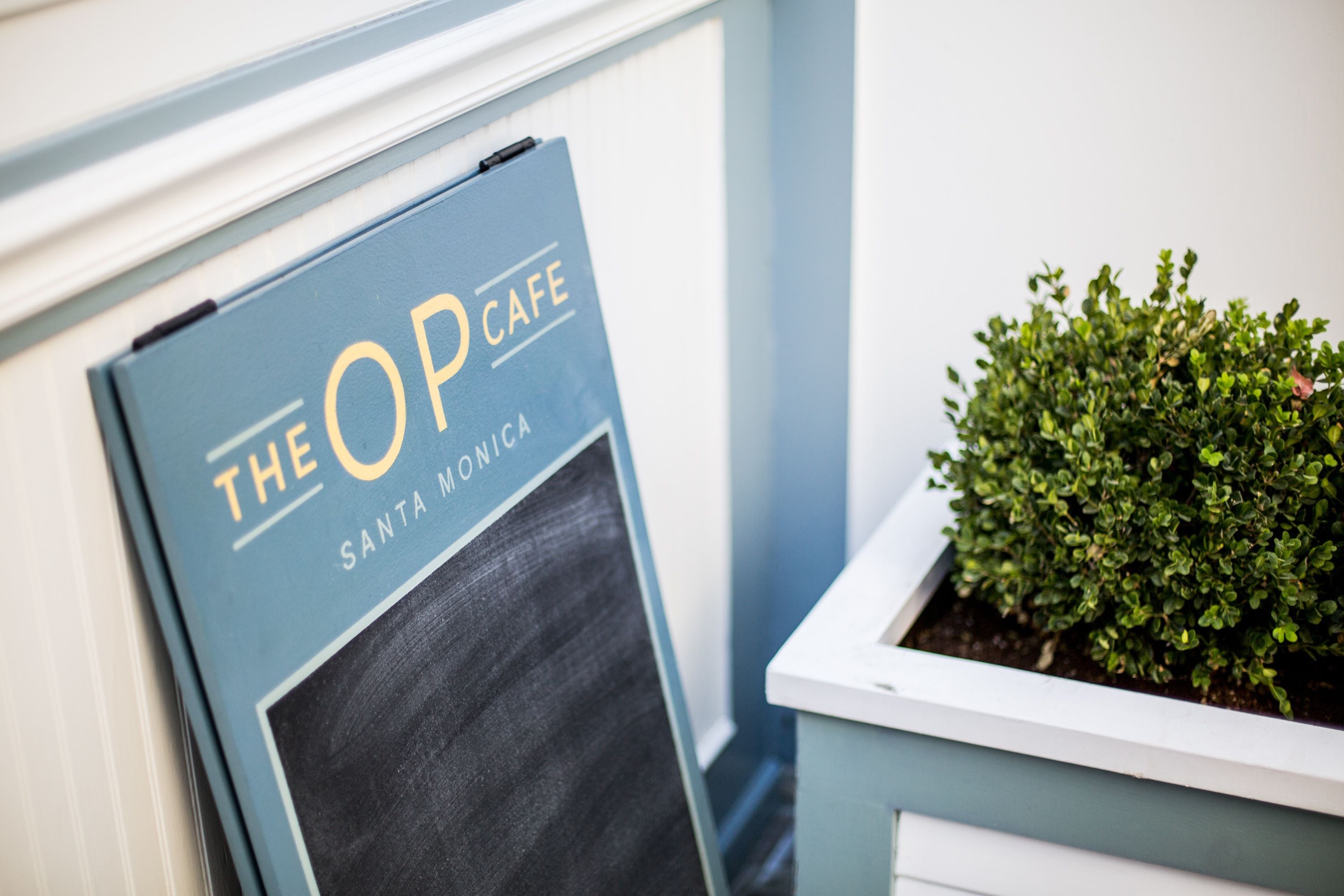 Photo - Ocean Park Hotel