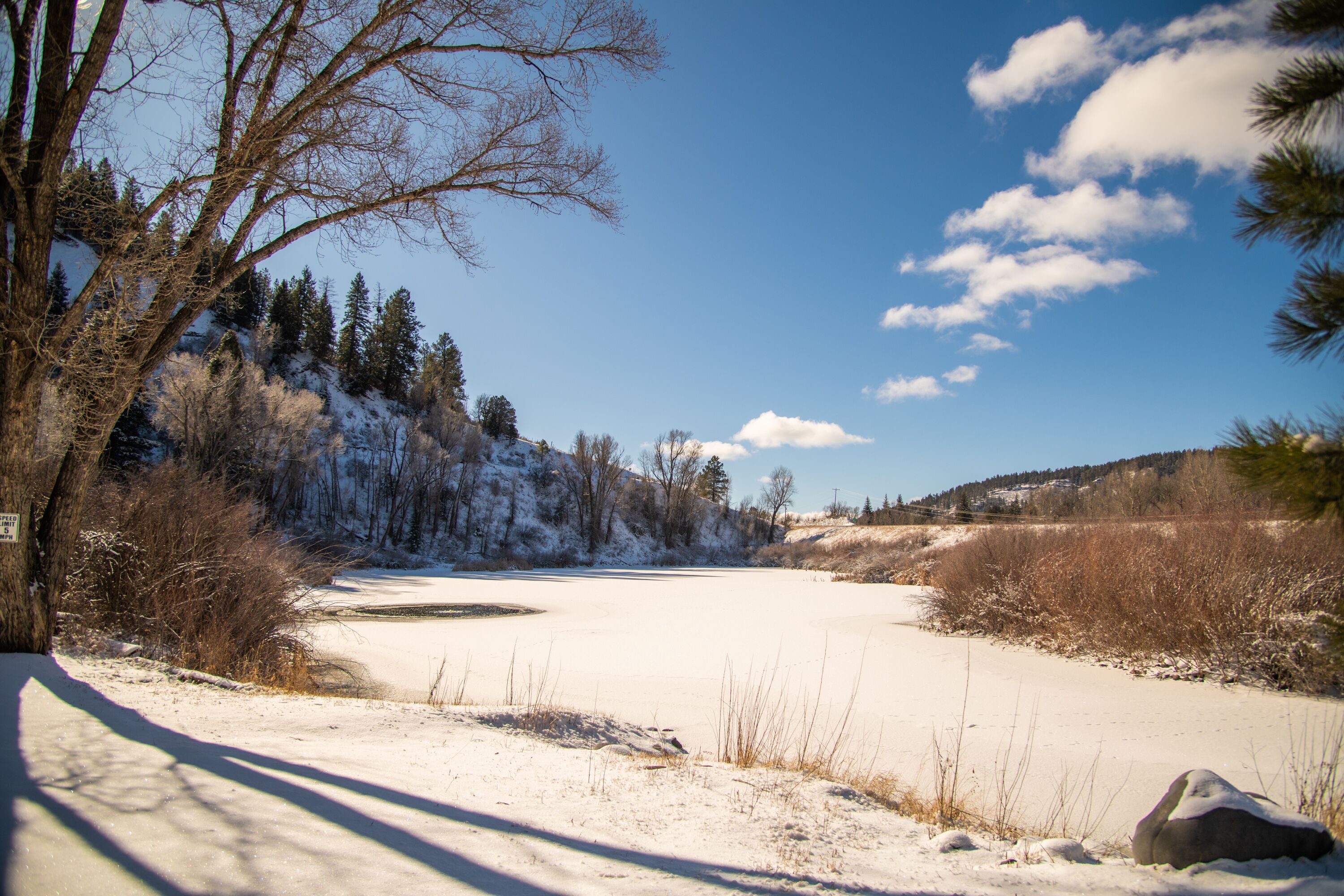 A snow-covered landscape with a clear sky, trees, and a frozen body of water.