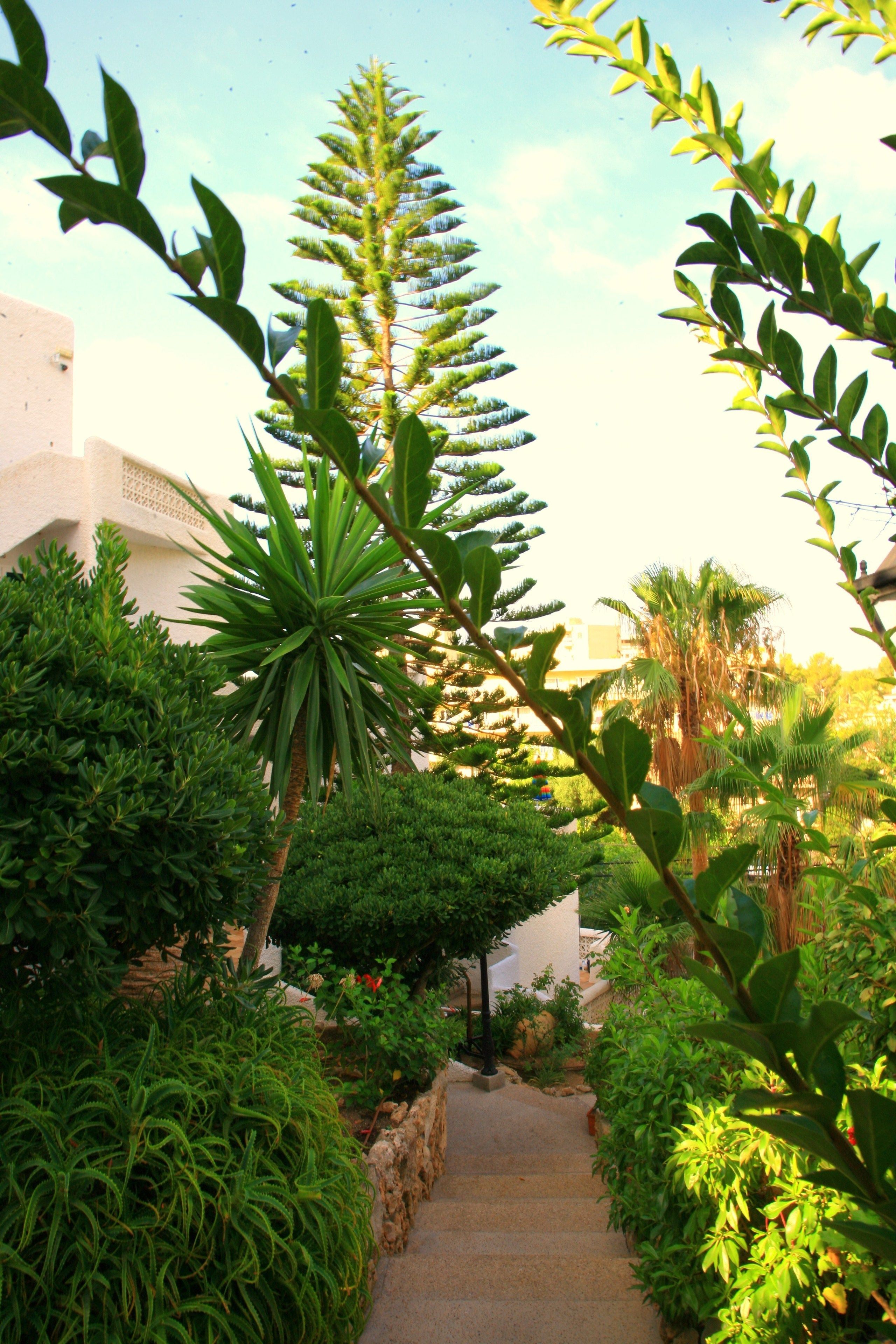 Photo - Villa Columbus Rooms and Restaurant