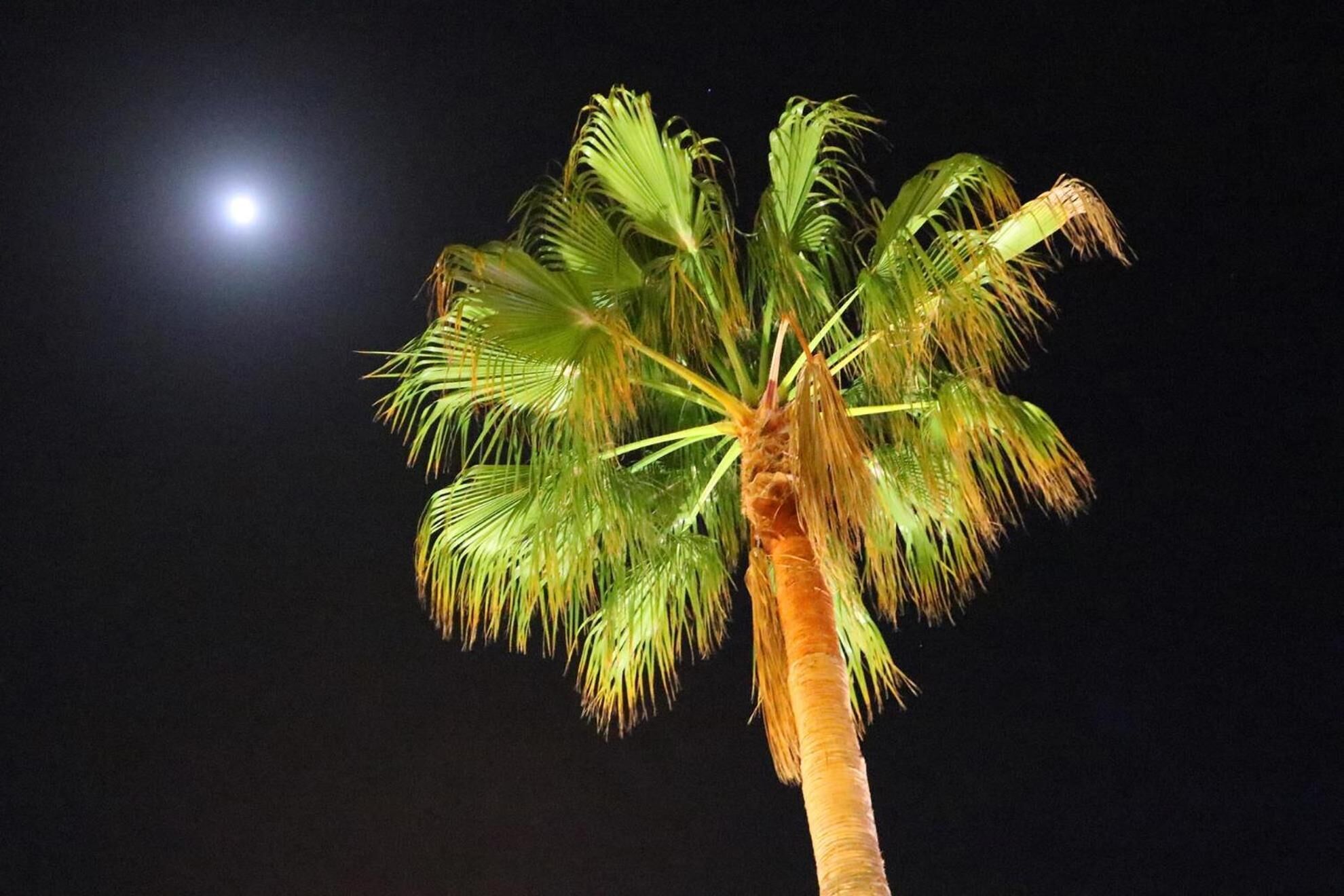 Foto - Villa Columbus Rooms and Restaurant