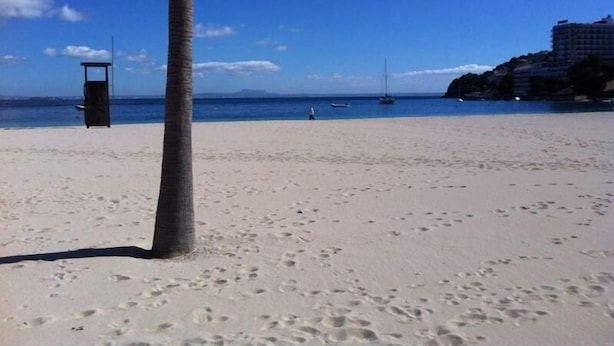 Una playa arenosa con huellas, una palmera y una torre de salvavidas.