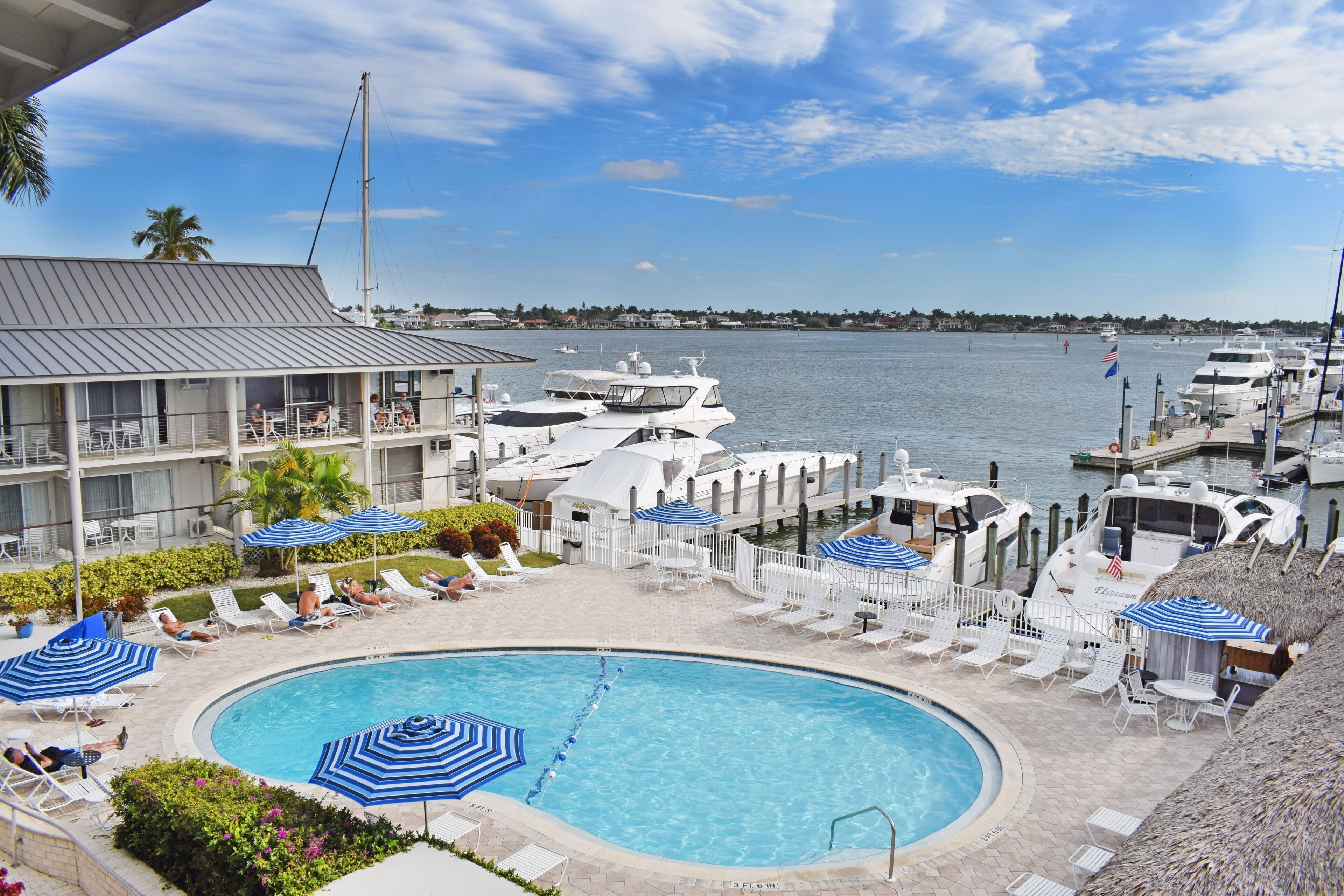 outdoor pool, pool loungers
