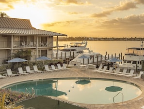Outdoor pool, pool loungers