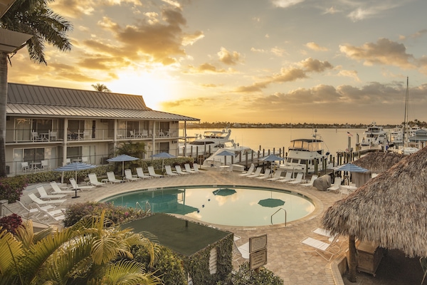 Outdoor pool, sun loungers