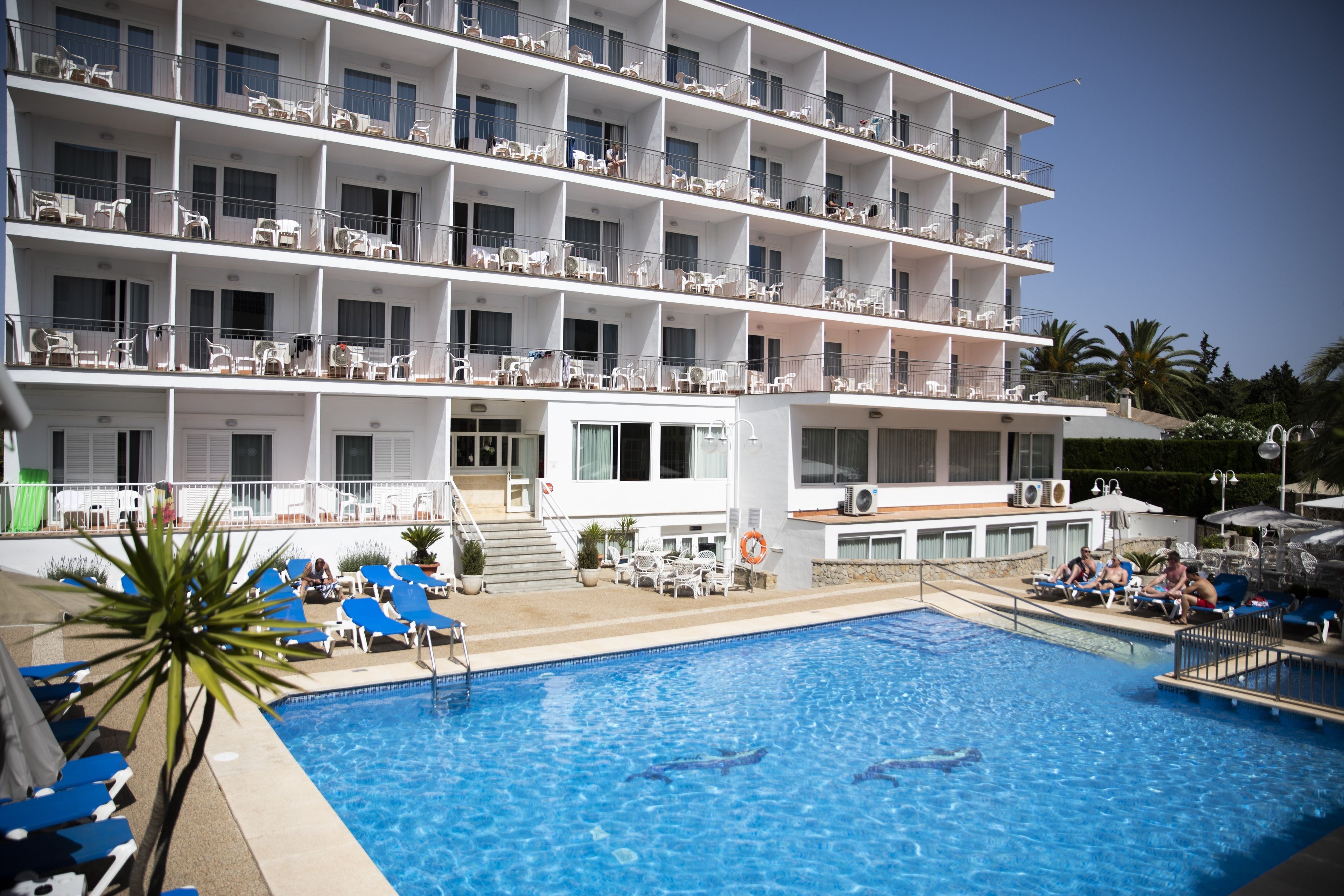 Foto - Hotel Don Miguel Playa