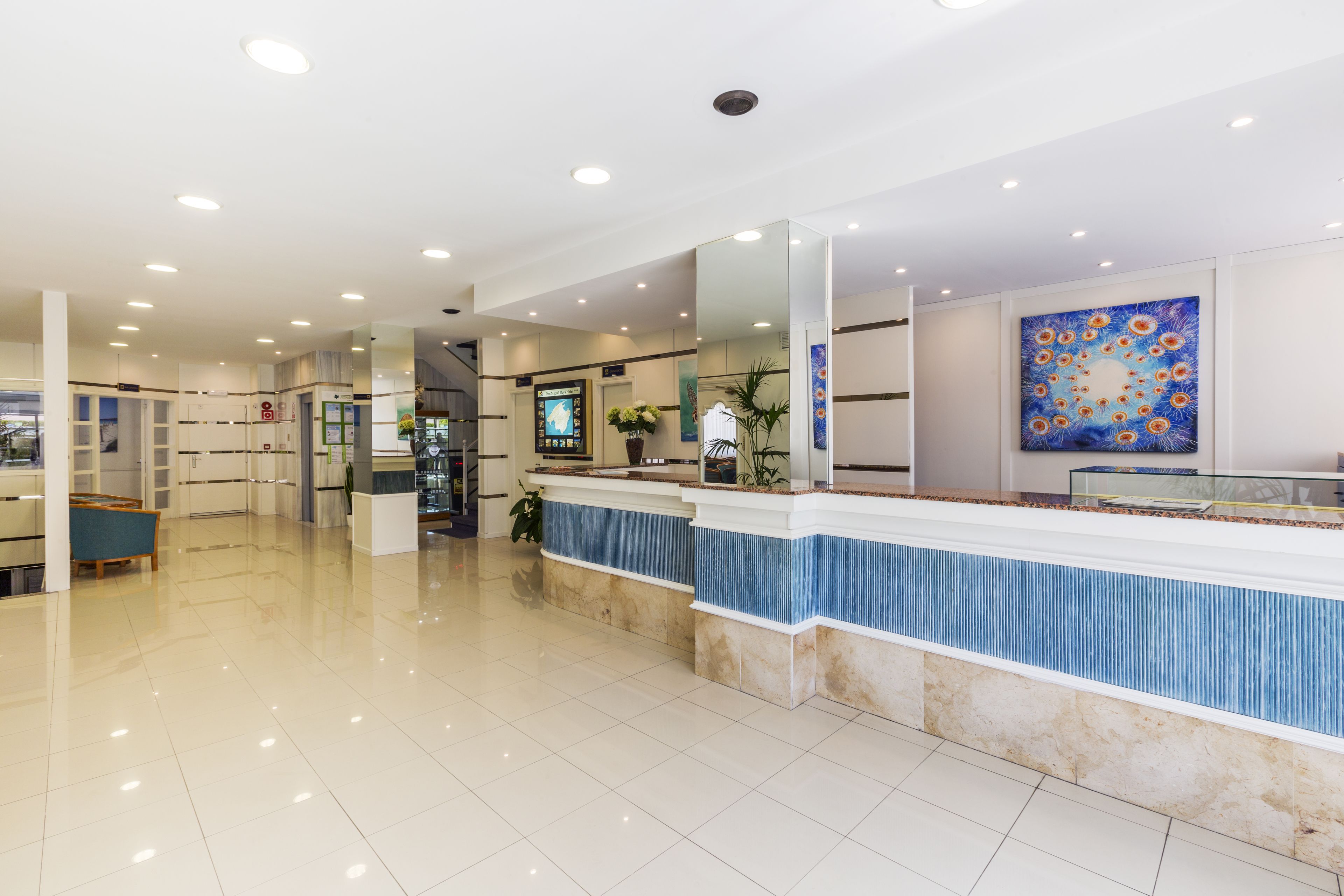 Foto - Hotel Don Miguel Playa