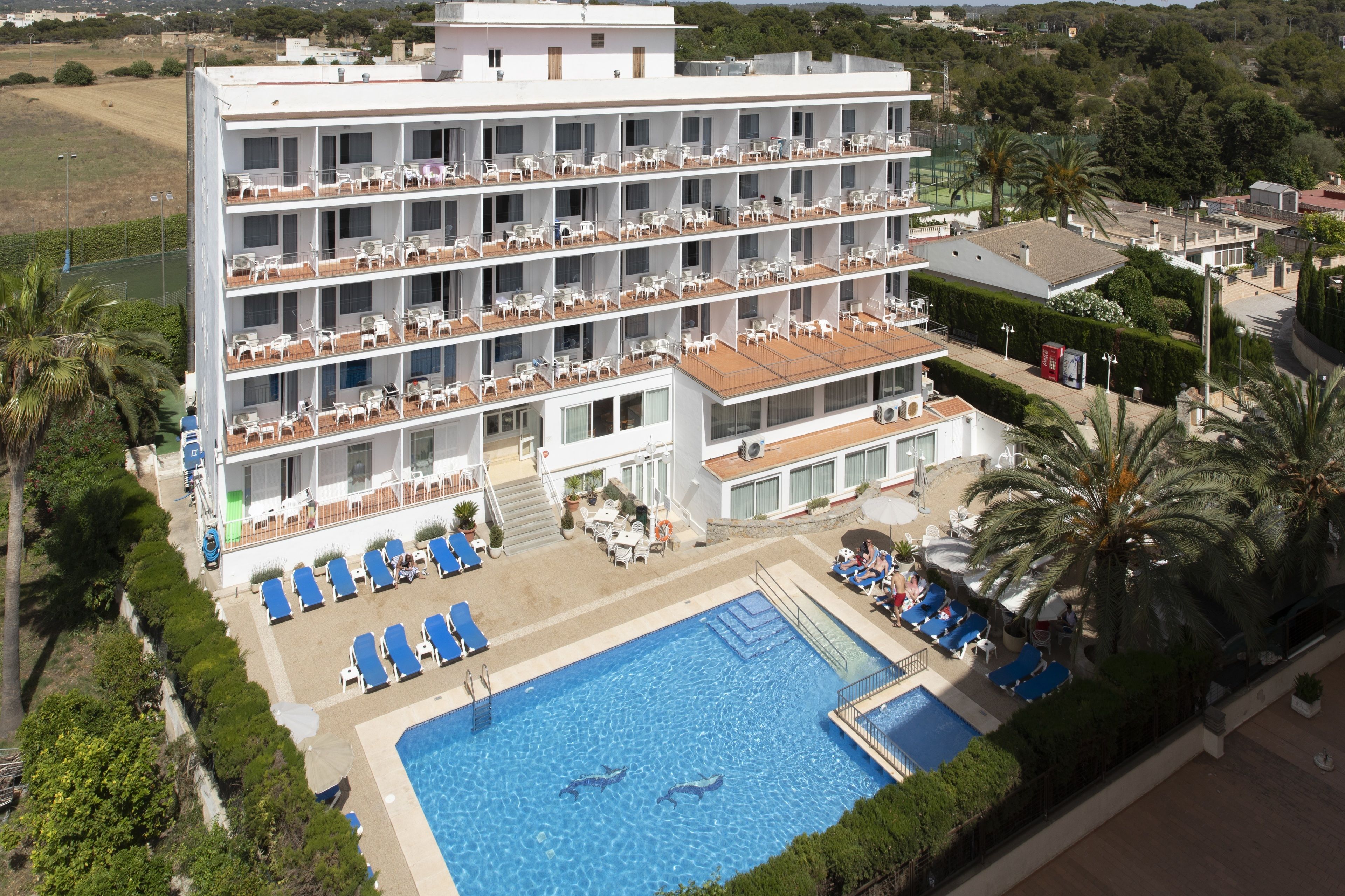 Foto - Hotel Don Miguel Playa