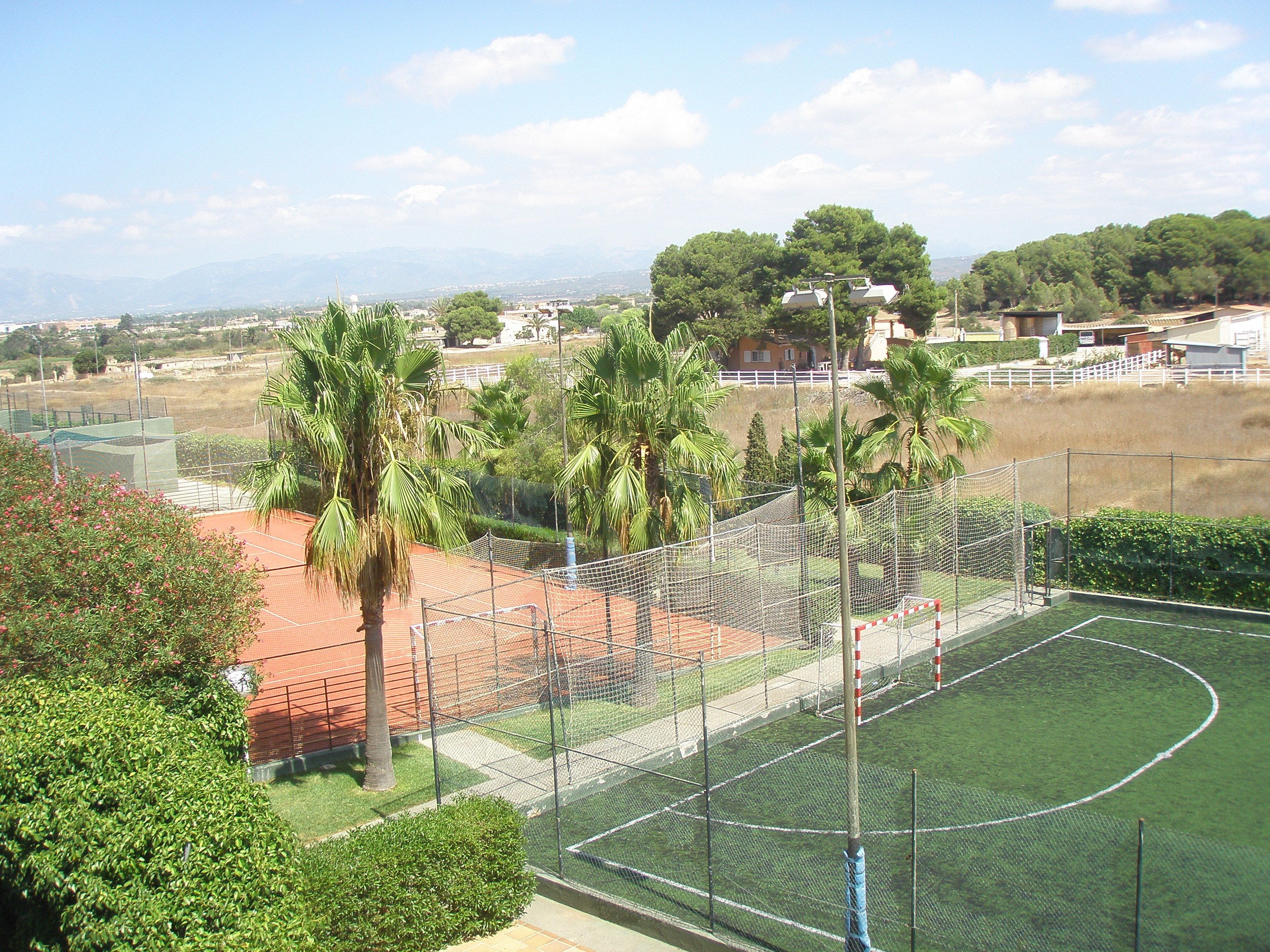 Foto - Hotel Don Miguel Playa