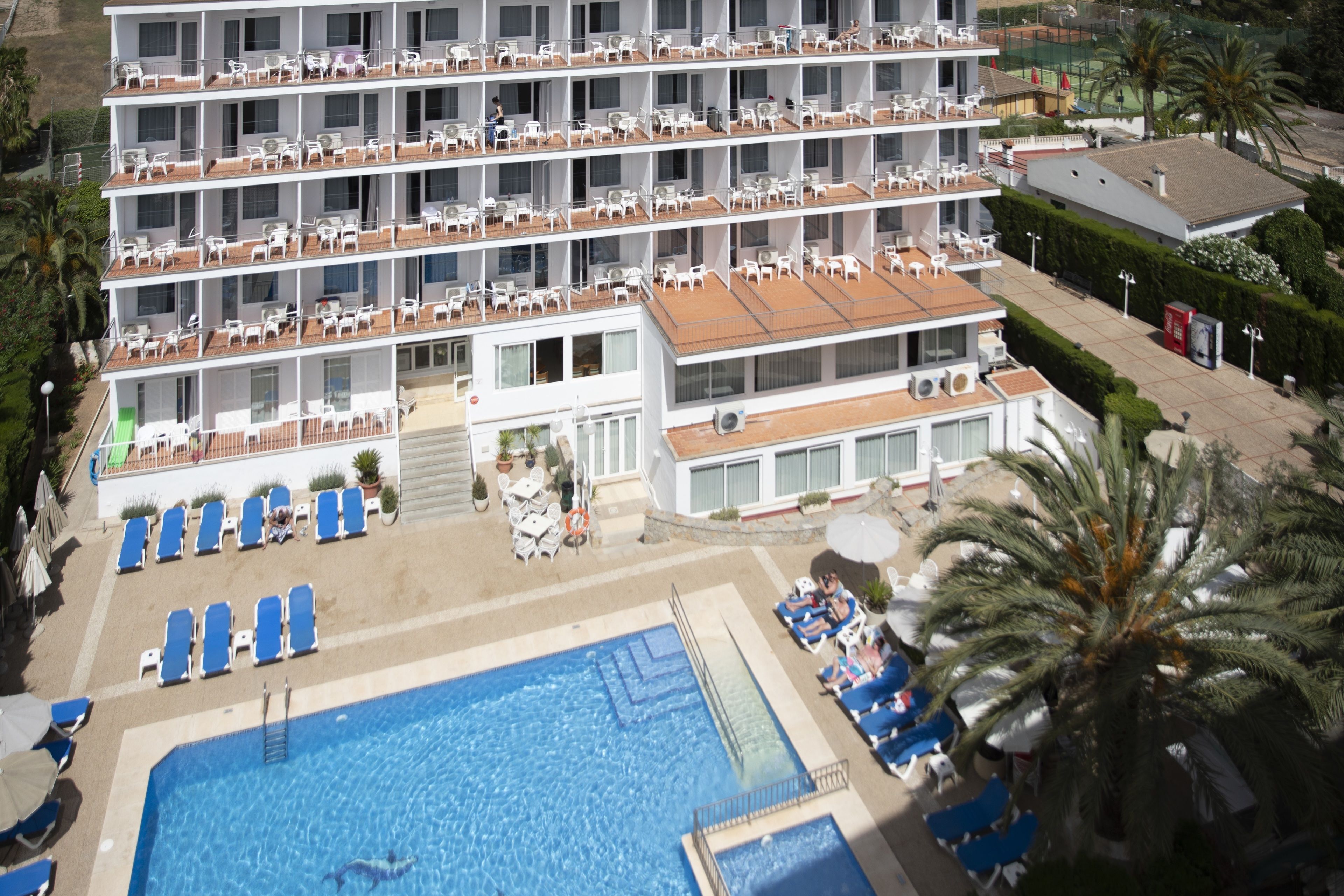 Foto - Hotel Don Miguel Playa