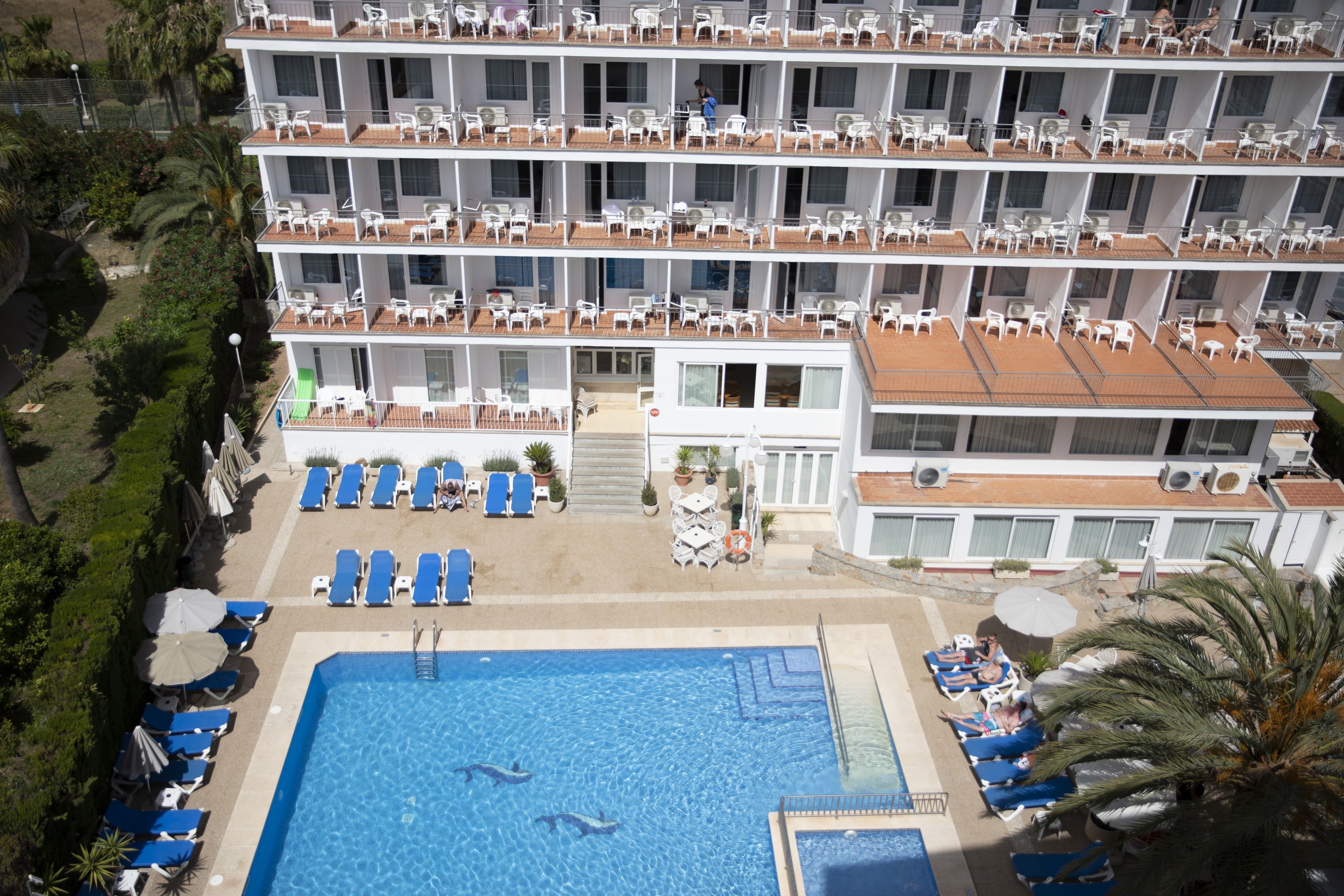 Foto - Hotel Don Miguel Playa