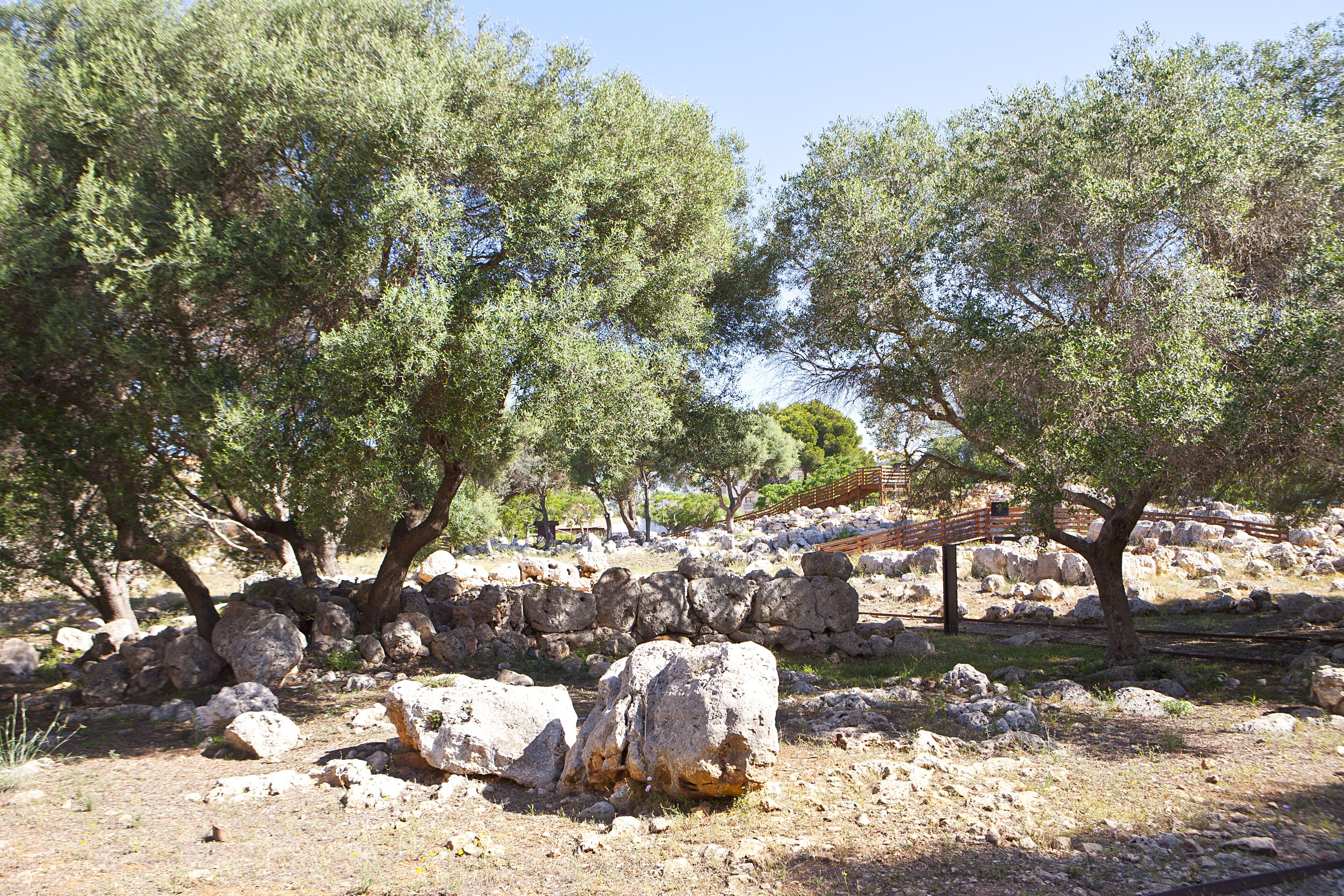 Foto - BJ Playamar Hotel & Apartamentos