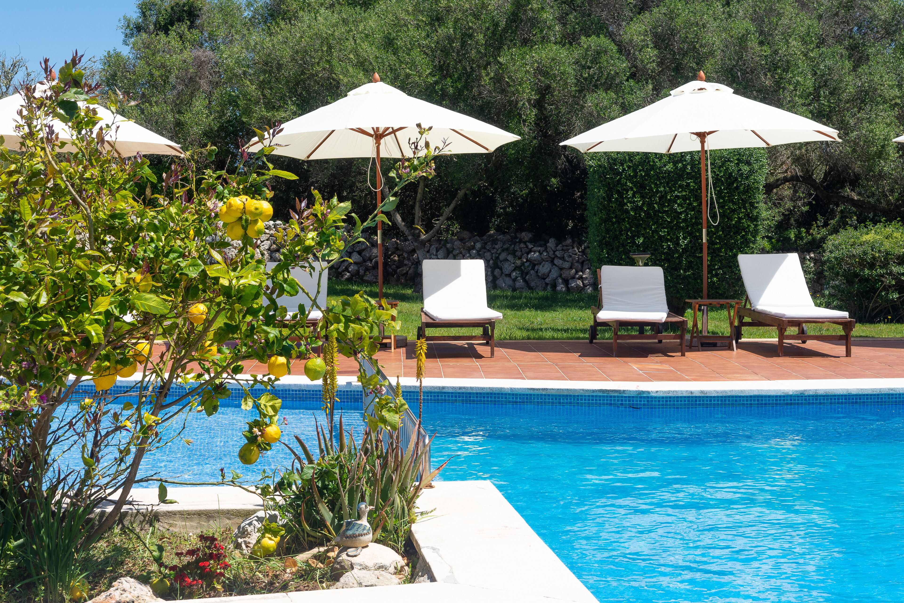 outdoor pool, pool loungers