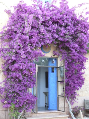 Entrada de la propiedad