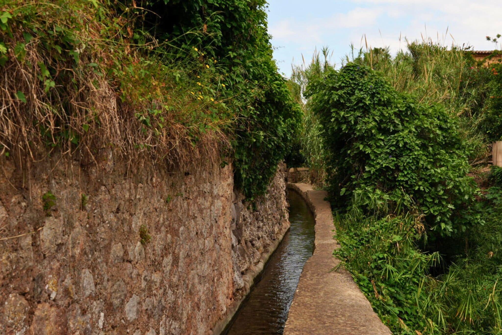 Foto - Hotel Casa Bougainvillea