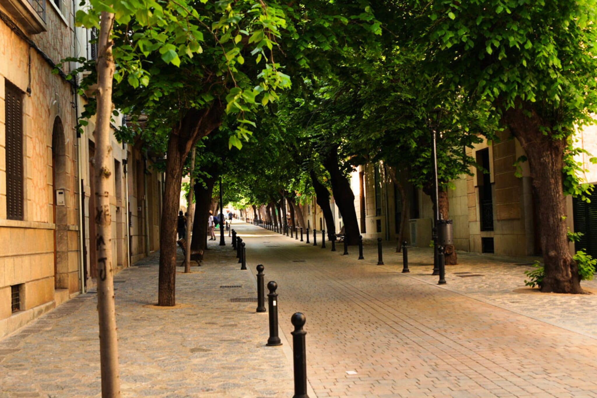 Foto - Hotel Casa Bougainvillea