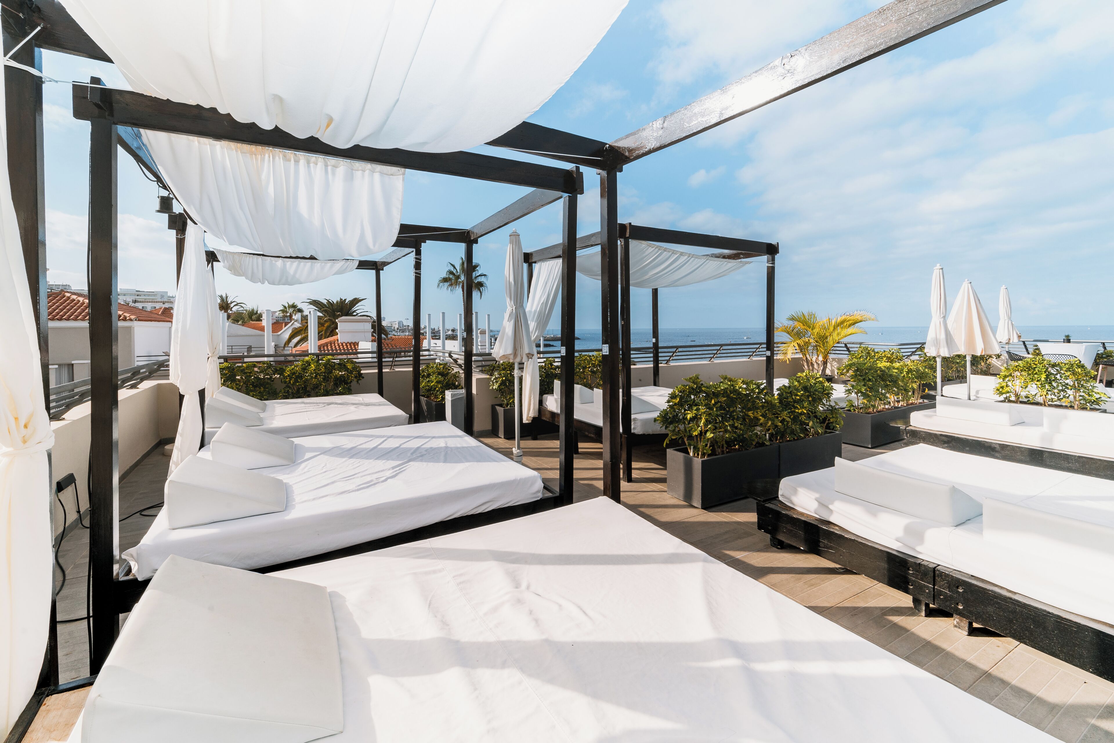 Photo - Los Olivos Beach Resort