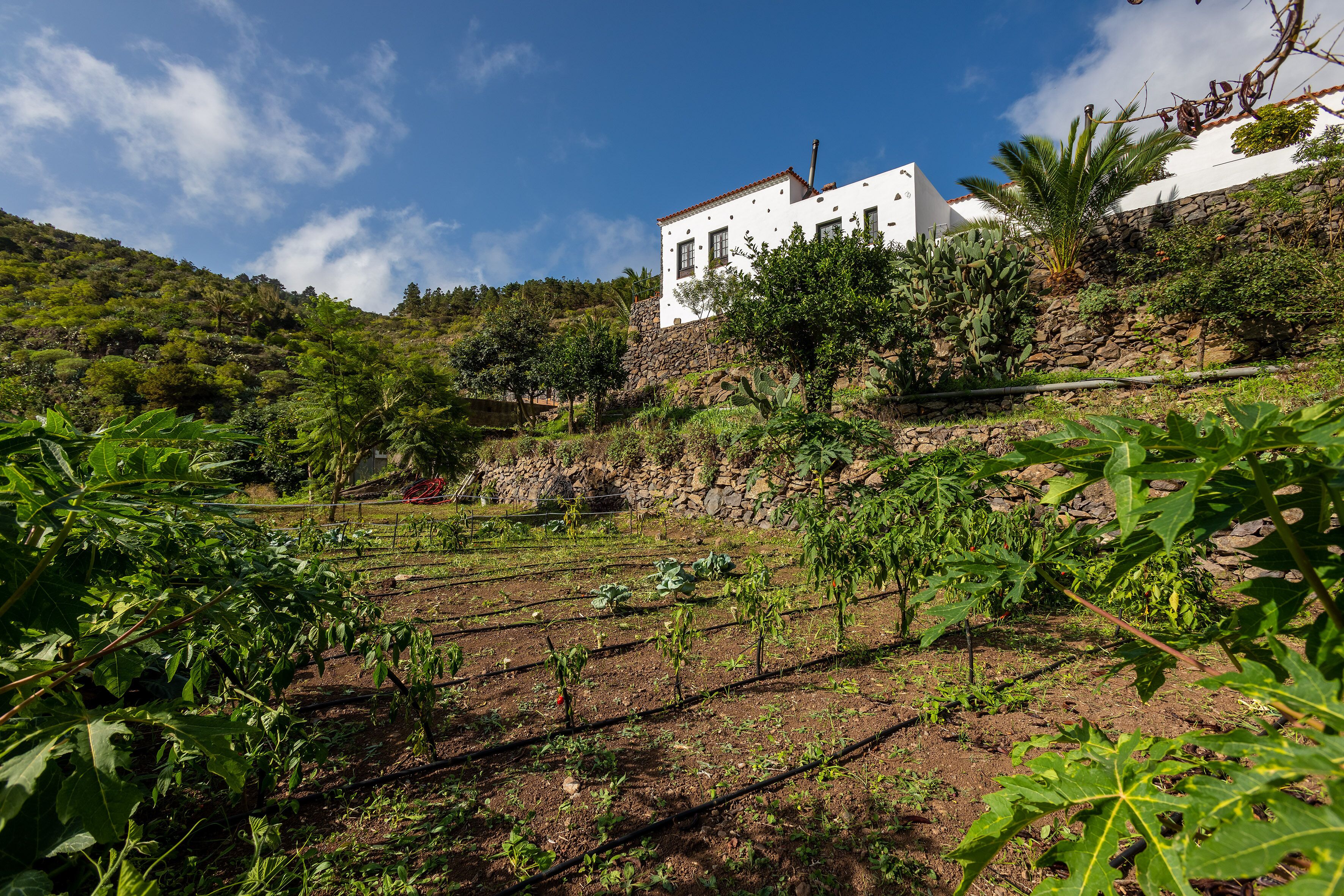 Foto - Las Casas del Chorro