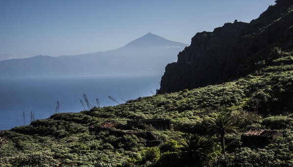 A coastal landscape with a mountain in the background, dense vegetation, and a clear view of the sea.
