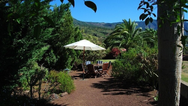 Un espace de restauration en plein air avec une table et des chaises sous un parasol blanc, entouré d’une végétation luxuriante et de palmiers, avec une vue sur les montagnes en arrière-plan.
