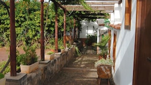 Un espacio al aire libre cubierto con pared de piedra, plantas en macetas y una estructura de pérgola.