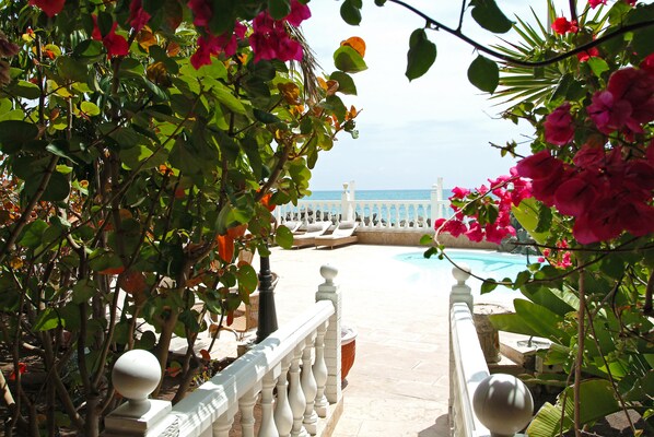 A pool area with a view of the sea, surrounded by lush greenery and a white balustrade.