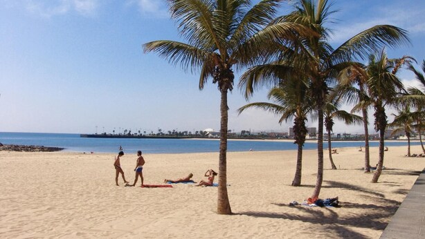 A sandy beach with palm trees, a clear blue sky, and a distant pier. - Hostal Residencia Cardona (Arrecife)