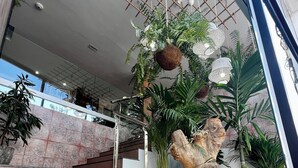 A modern hotel entrance with a marble staircase, potted plants, and a large decorative sculpture. - Hostal Residencia Cardona (Arrecife)