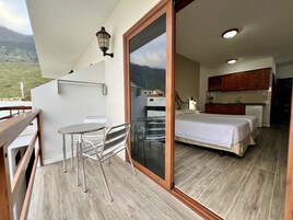 Studio, Terrasse | Terrasse/Patio