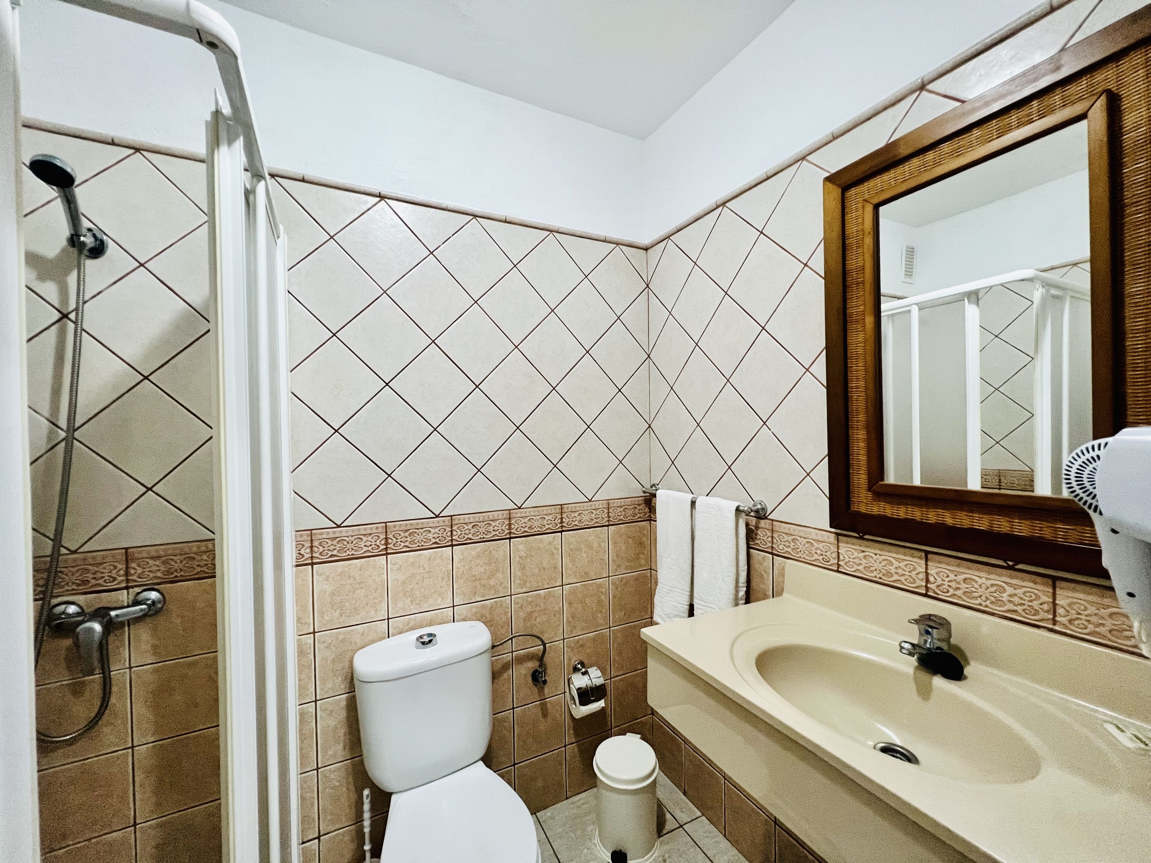 A bathroom with a shower, toilet, sink, and a mirror.