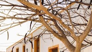 Front of property - Casa Lola y Juan (Haria)