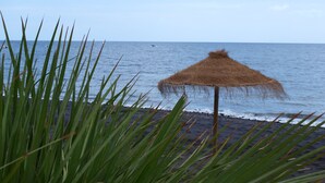 Une plage avec un parasol en chaume et une végétation verdoyante.