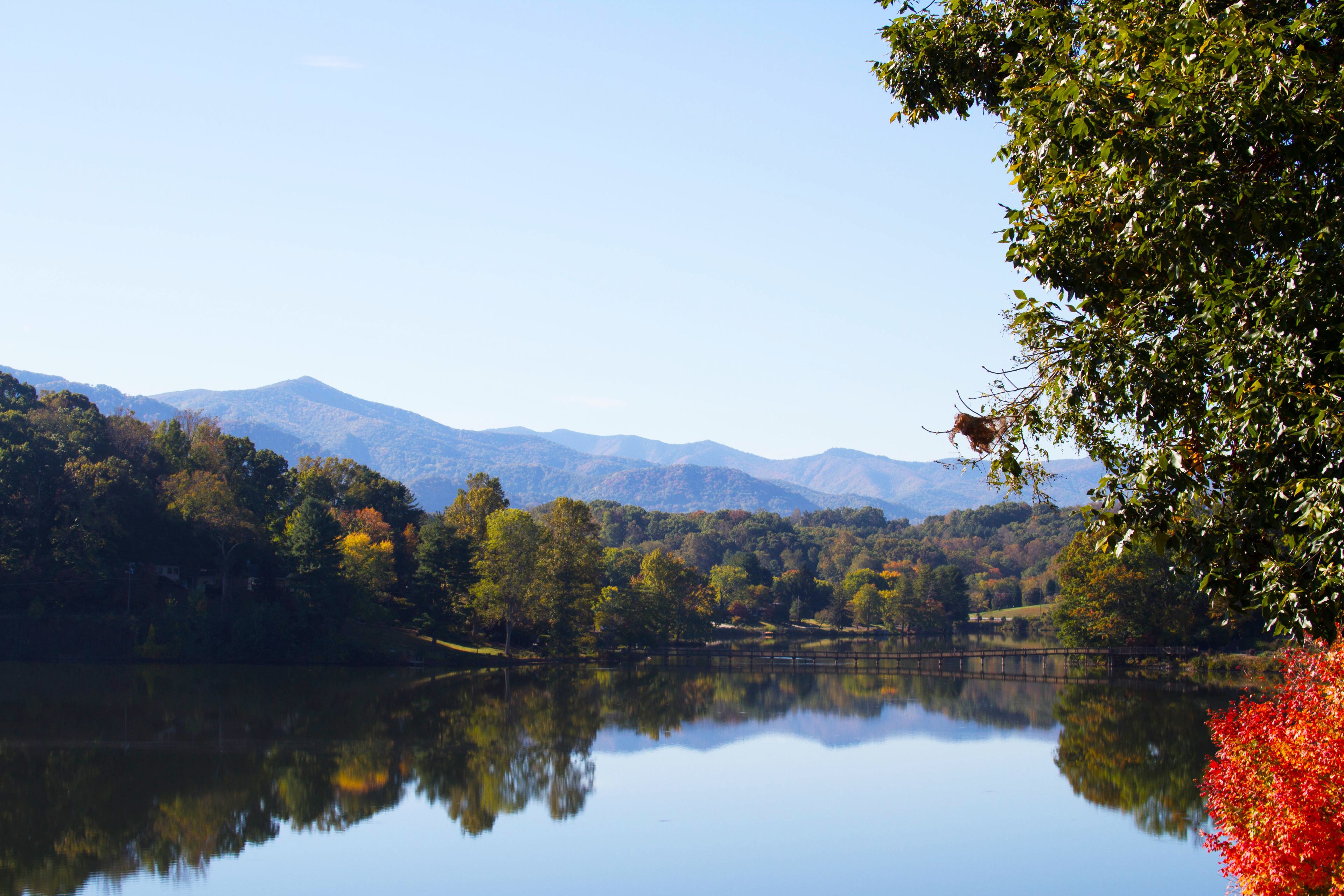 Un lago tranquilo que refleja árboles y montañas.