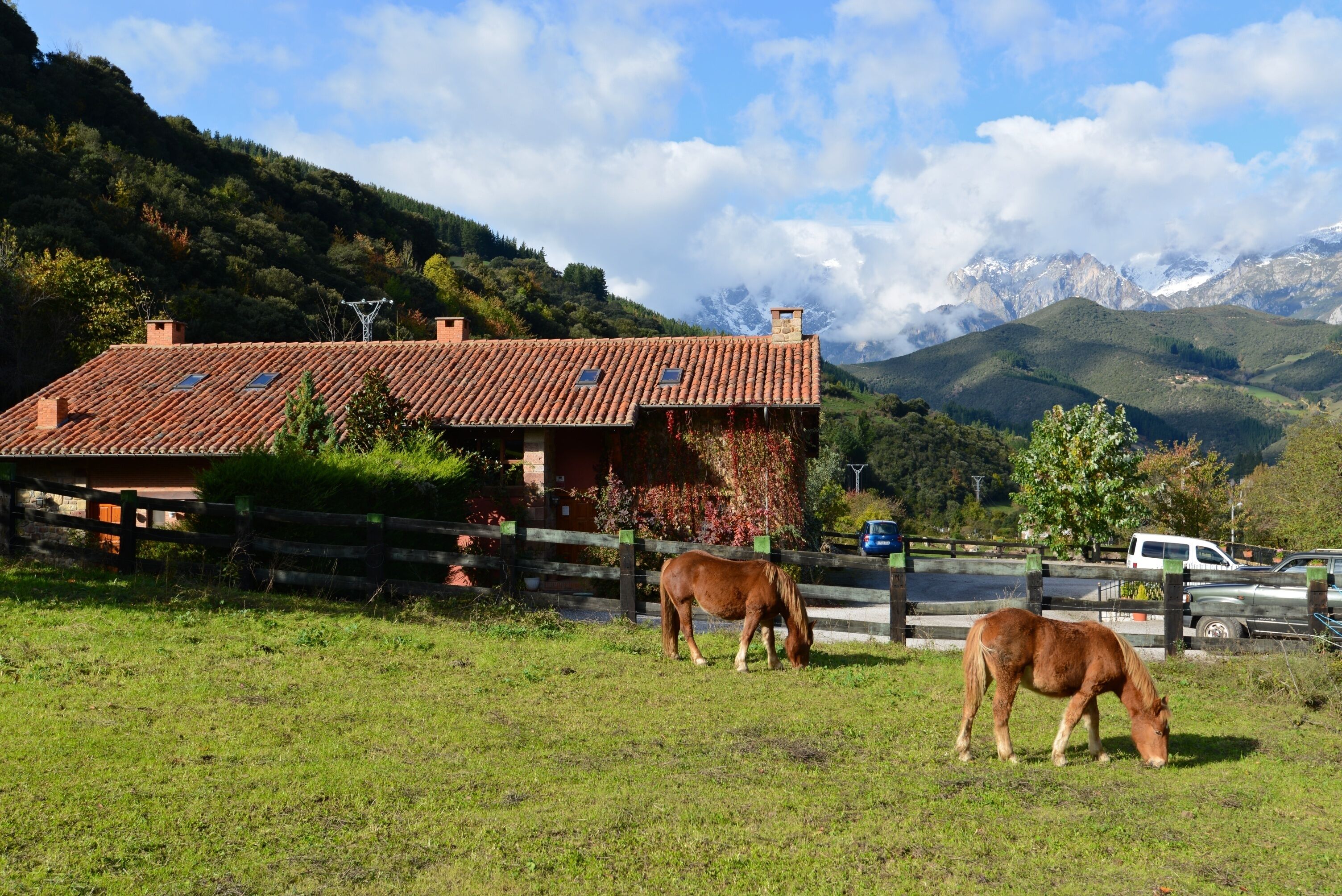 Photo - Hotel-Posada La Casa de Frama