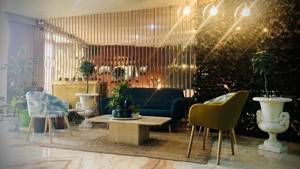 Una sala de estar moderna con un sofá, sillones, una mesa de centro y plantas decorativas.