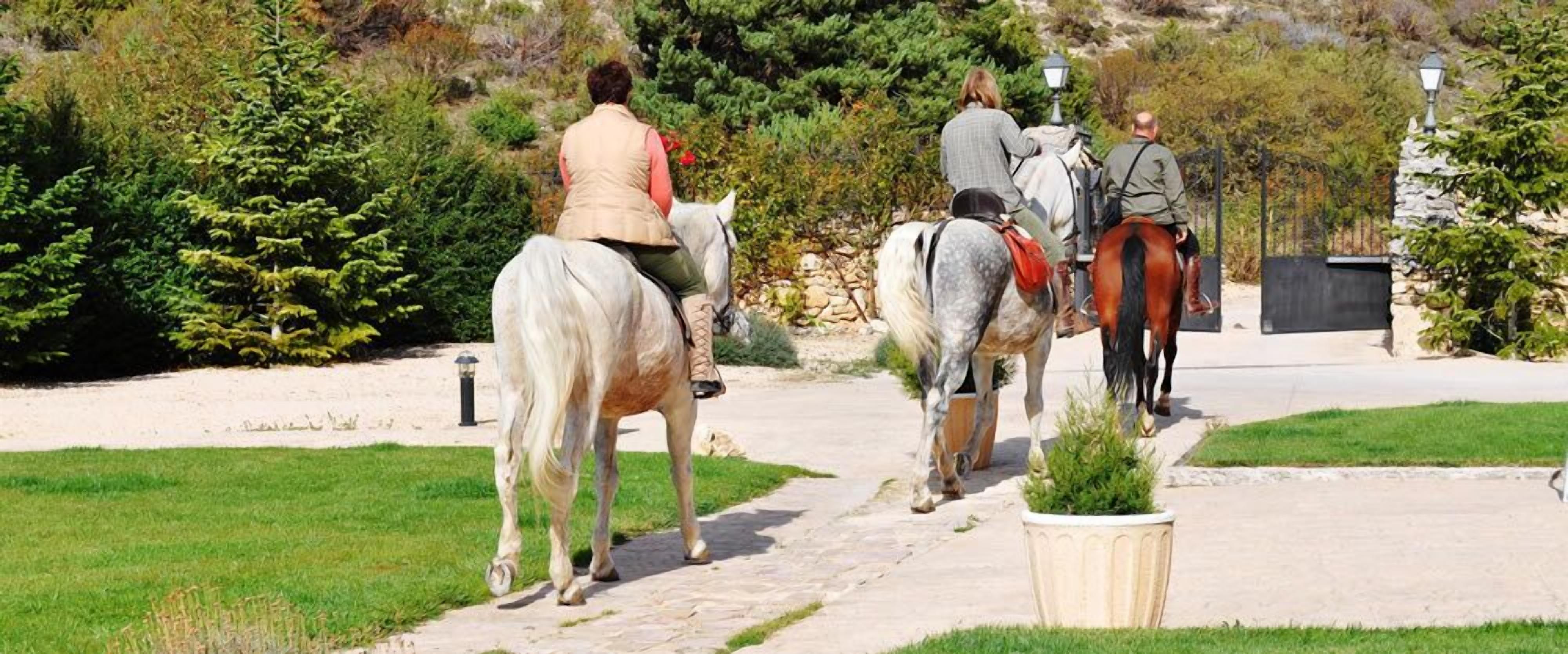 Un sendero con caballos y jinetes.