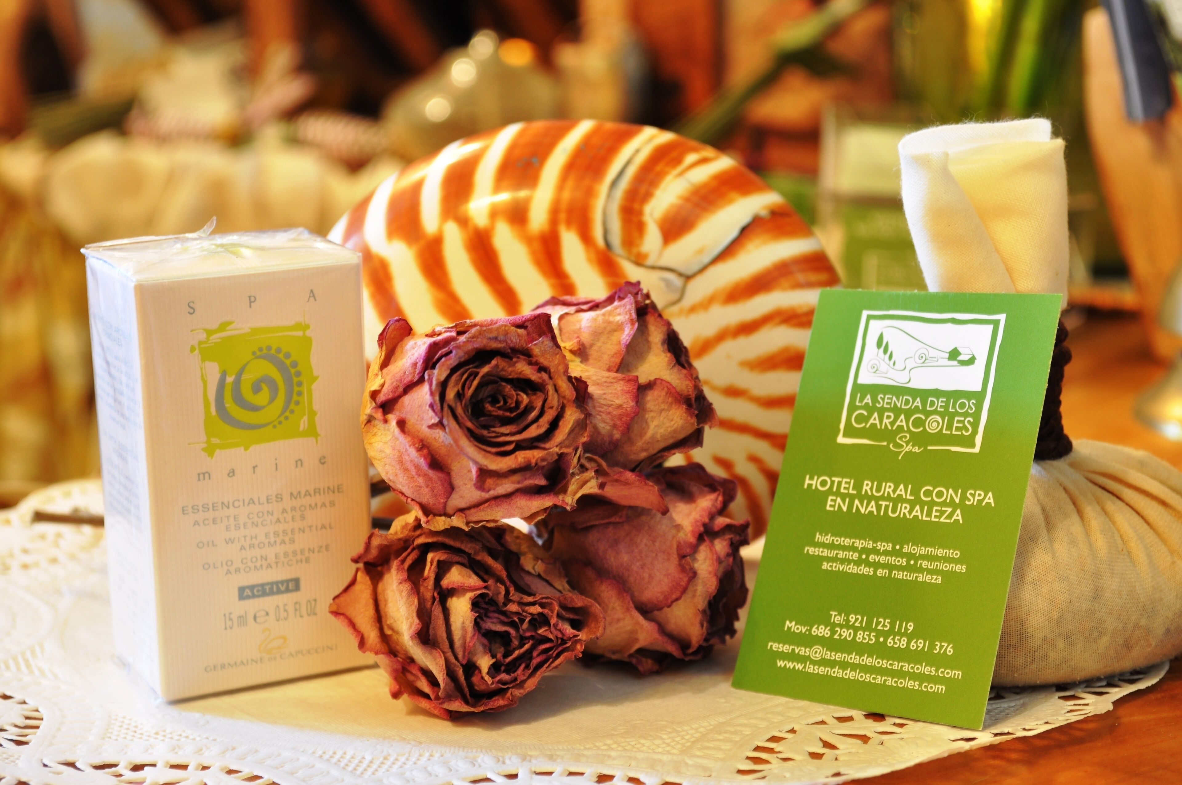 Un folleto de spa, rosas secas y una concha marina sobre una mesa.