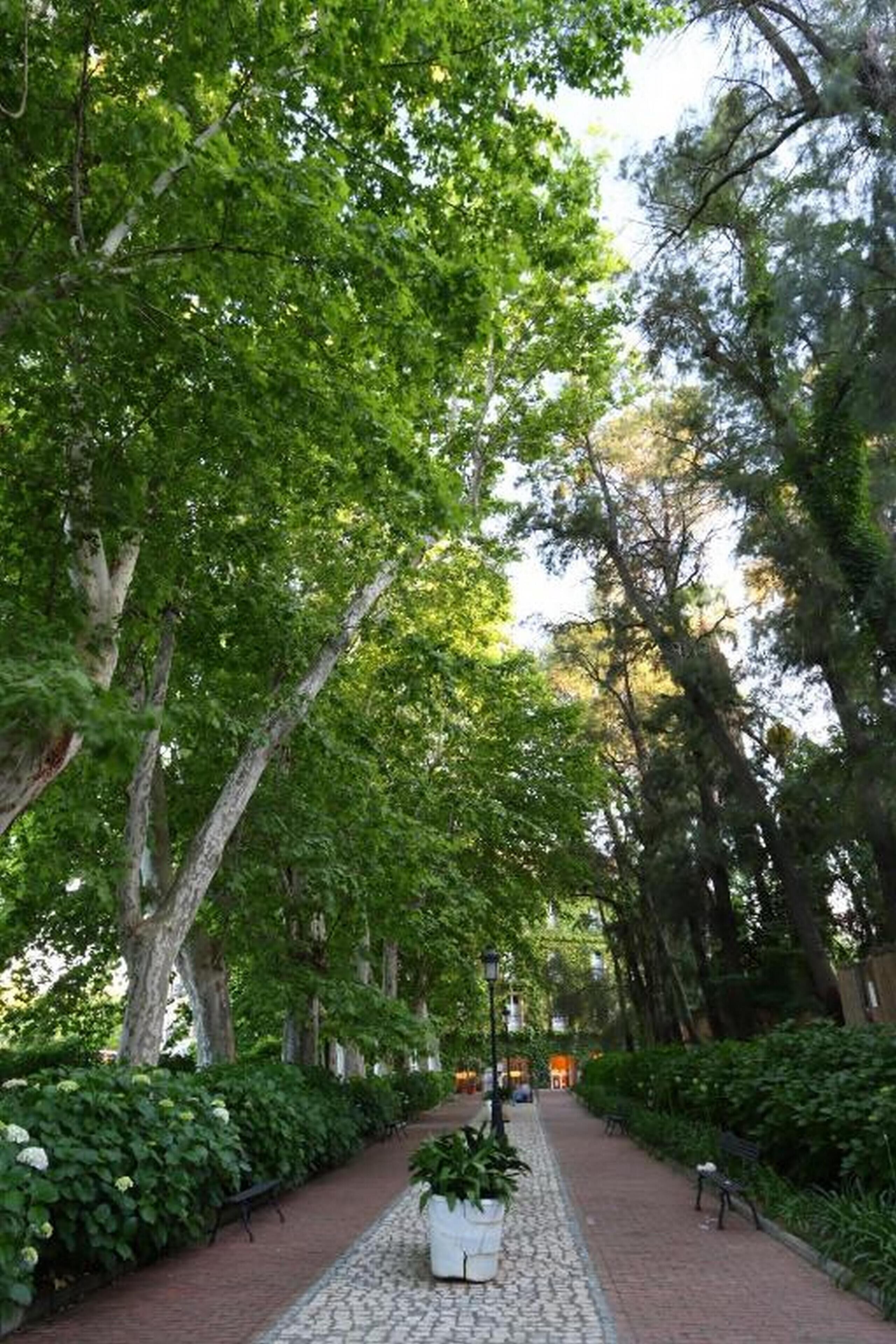 hot tub, steam room, hot springs/mineral springs, turkish bath/hammam