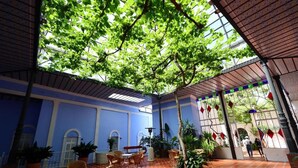 Een overdekt buitengebied met blauwe muren, planten in potten en tuinmeubilair.