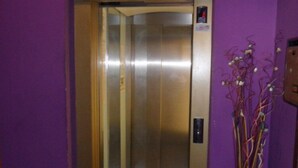 Un ascensor con pared morada y un florero con ramas.