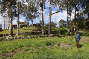 A person standing in a grassy area with trees and a stone wall.