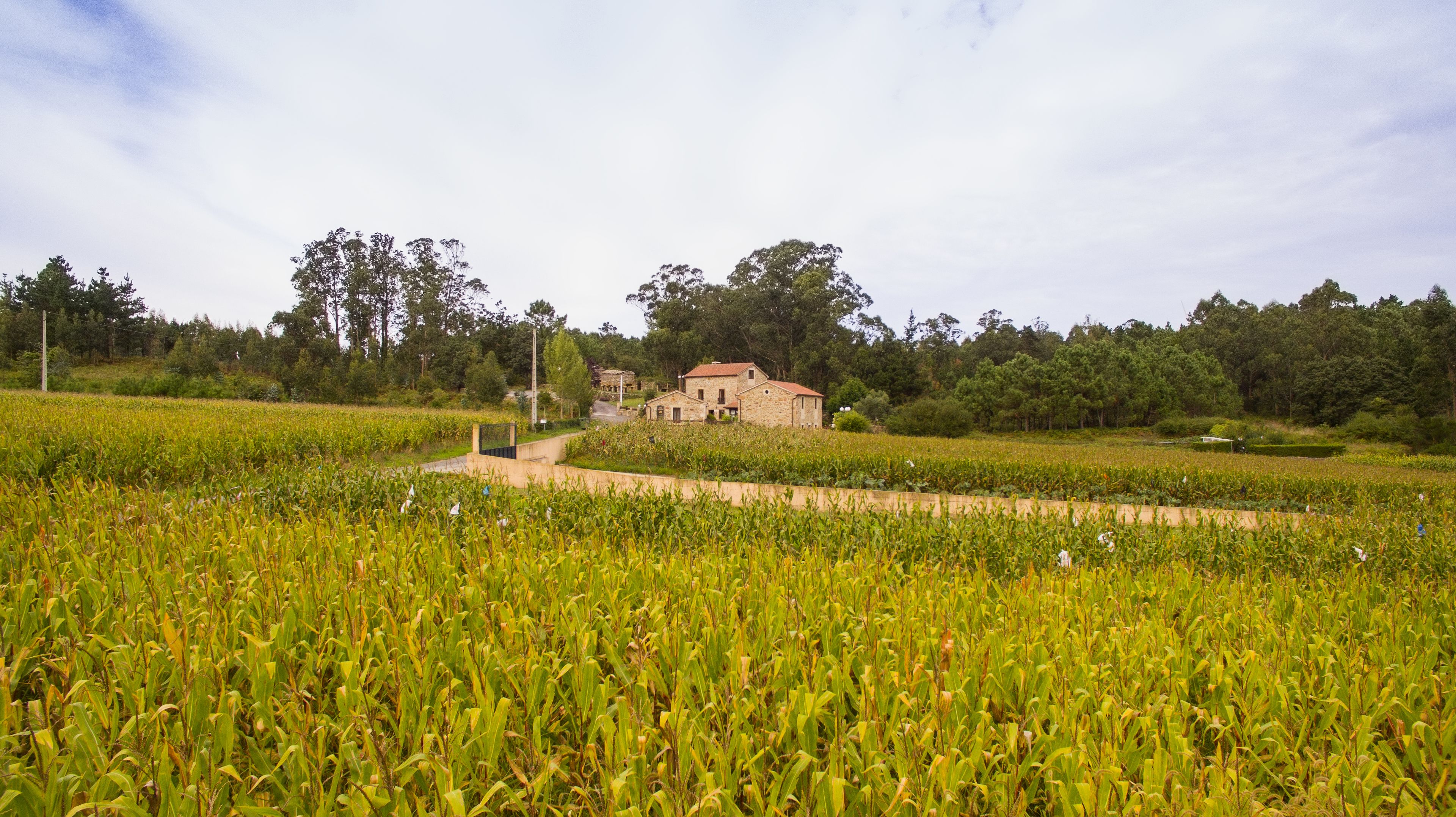 Foto - Hotel Rustico Lugar Do Cotariño