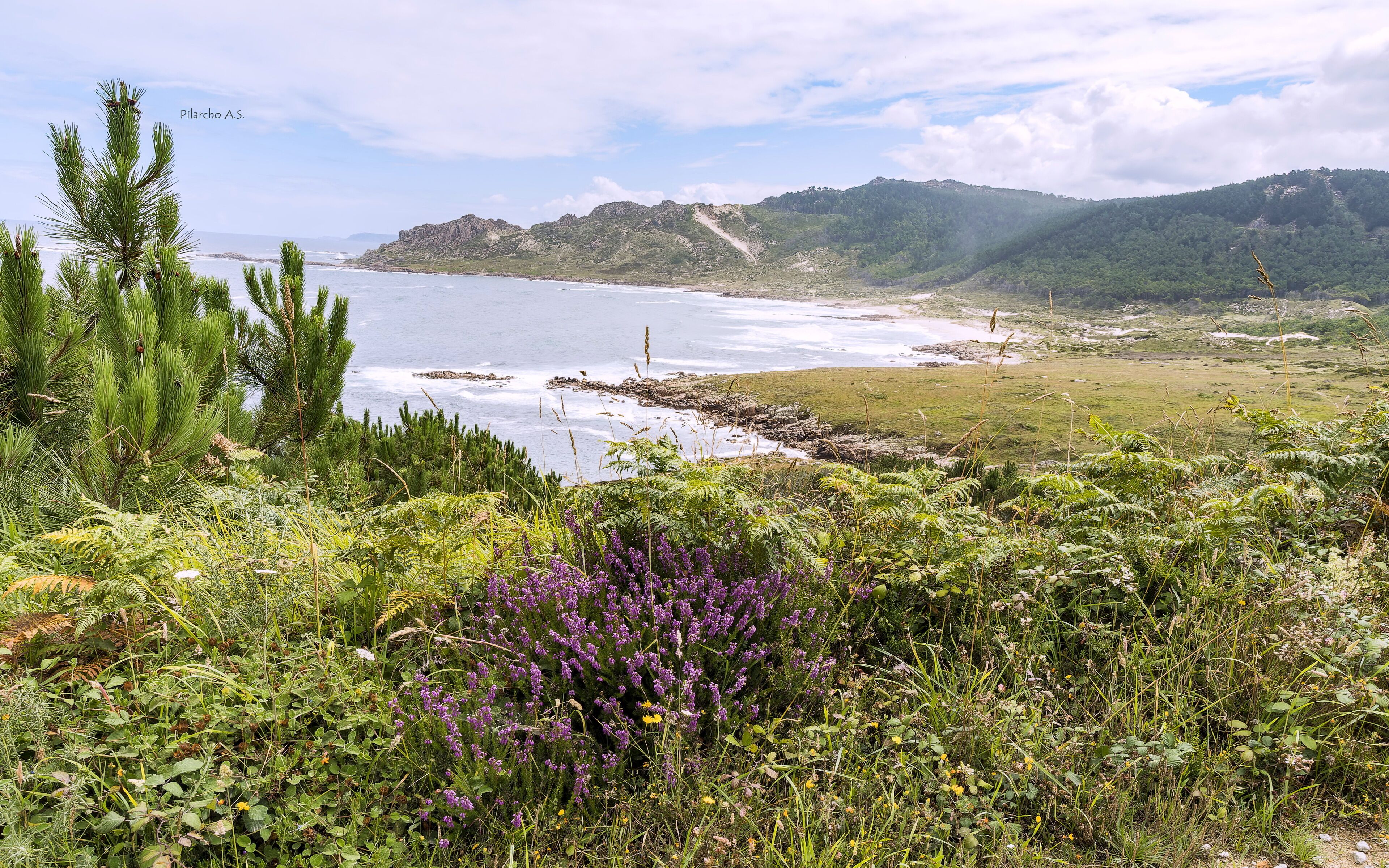 Foto - Hotel Rustico Lugar Do Cotariño