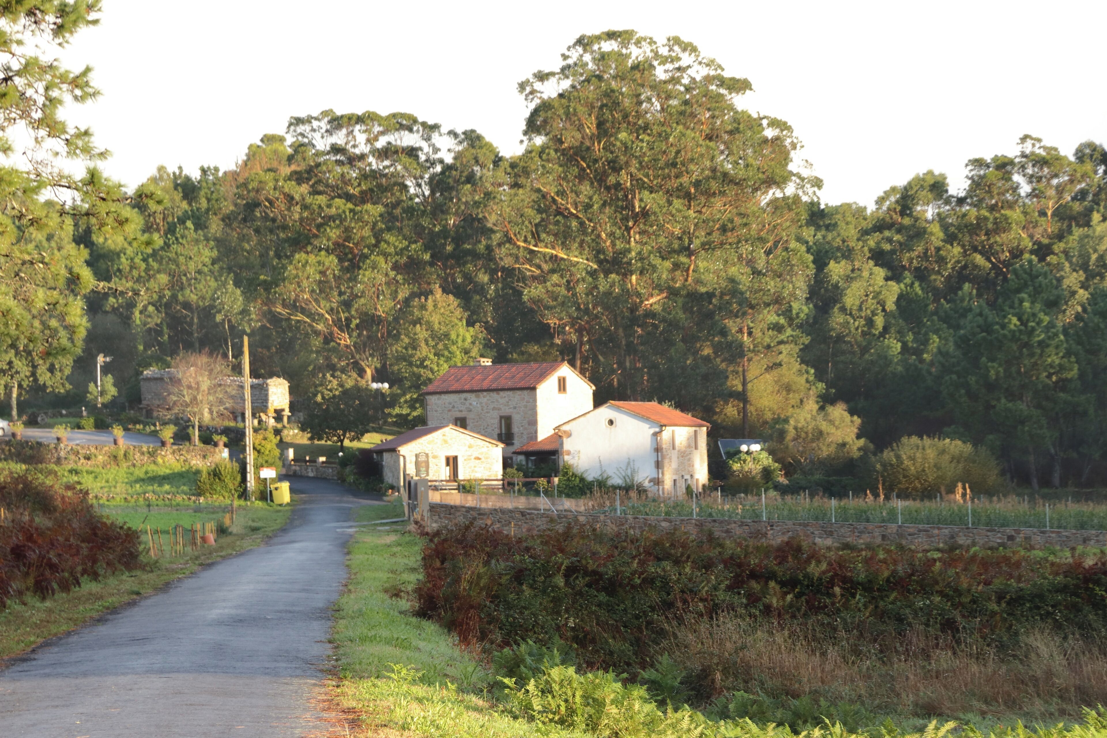 Foto - Hotel Rustico Lugar Do Cotariño