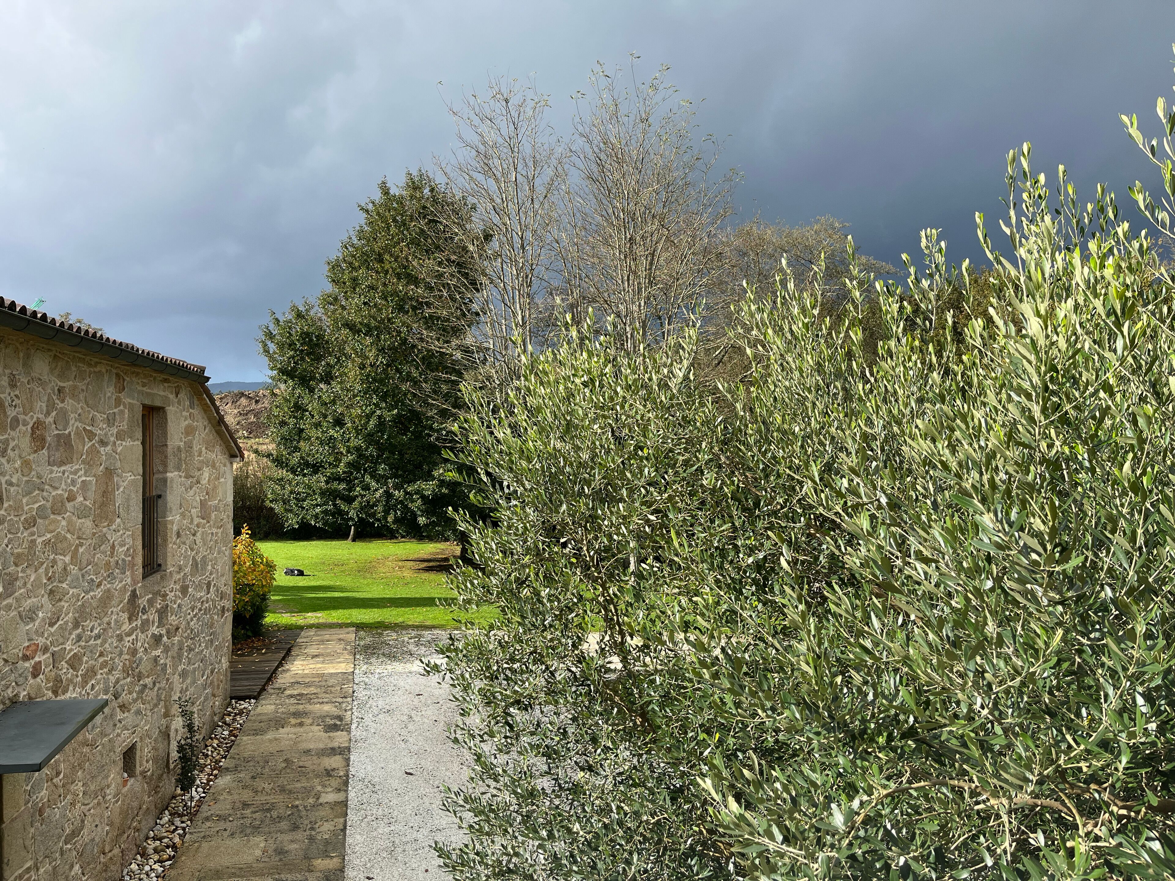 Photo - Os Lambráns